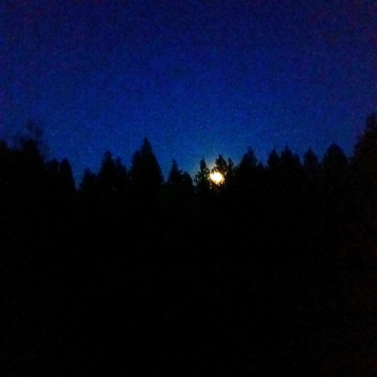 strawberry moon 6.20.16 - Copy