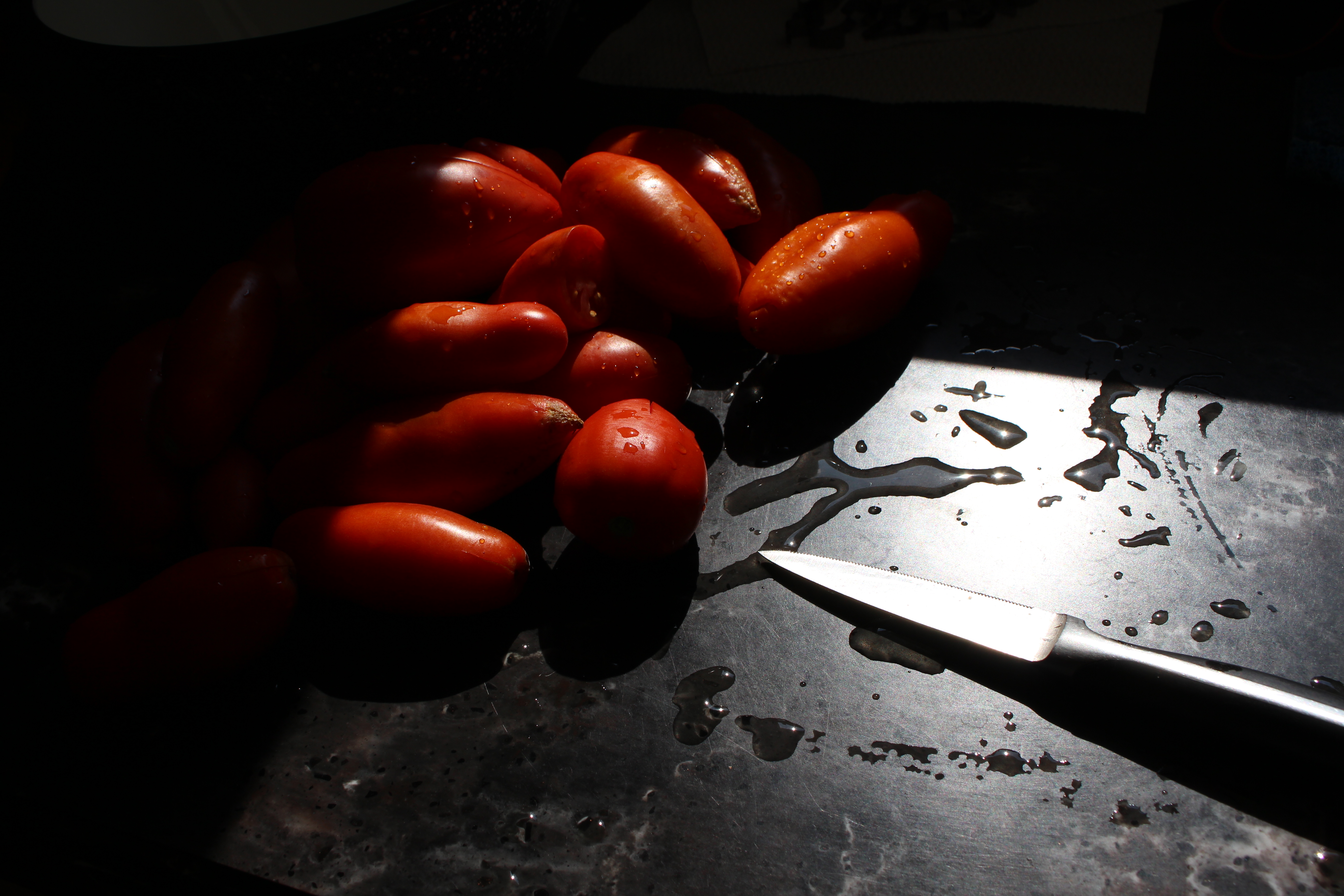 tomatoes.still life