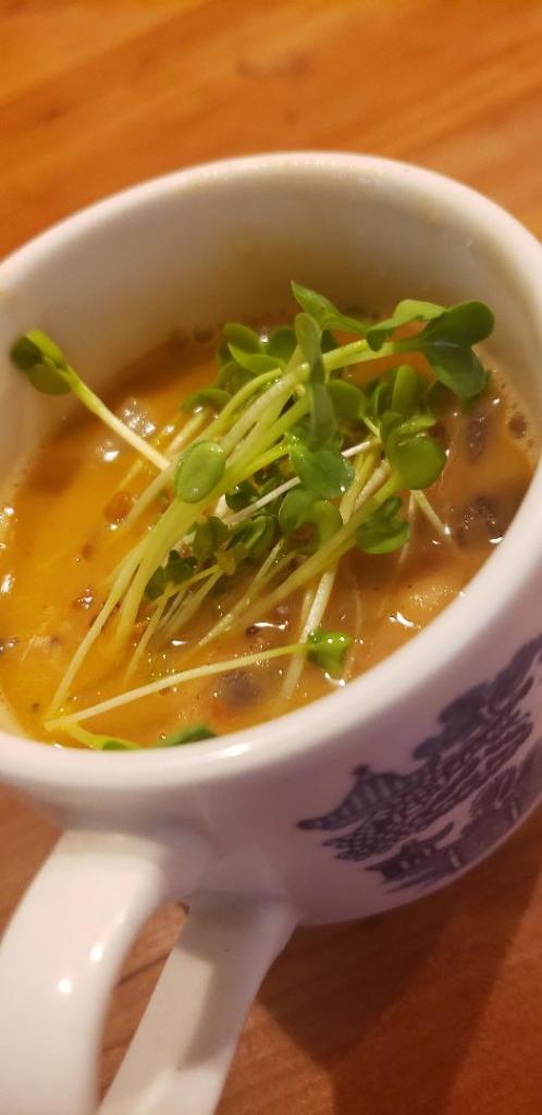 a cup of lentil curry